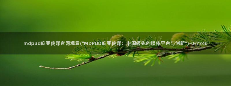麻豆视频自动更新