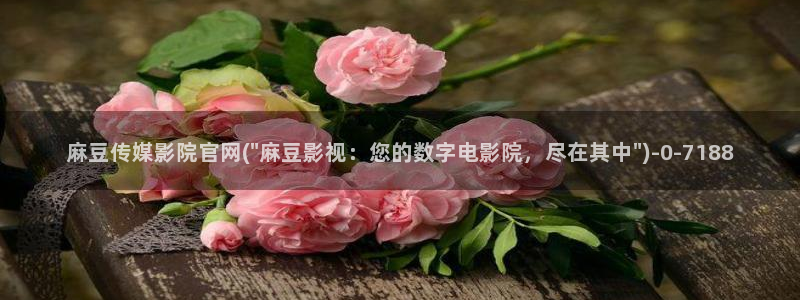 麻豆传媒演员：麻豆传媒影院官网(\