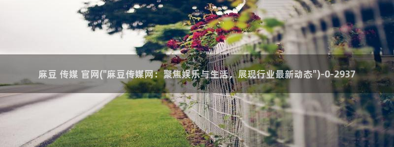 麻豆影视专题：麻豆 传媒 官网(\