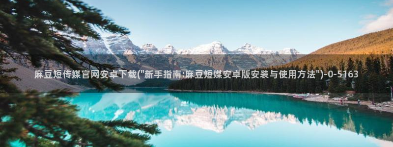 麻豆免费视频观看