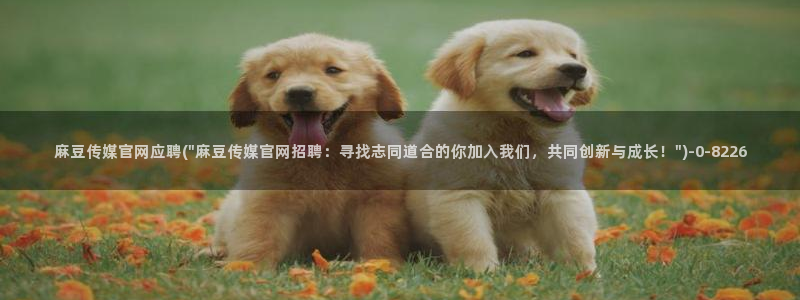 麻豆新片速递