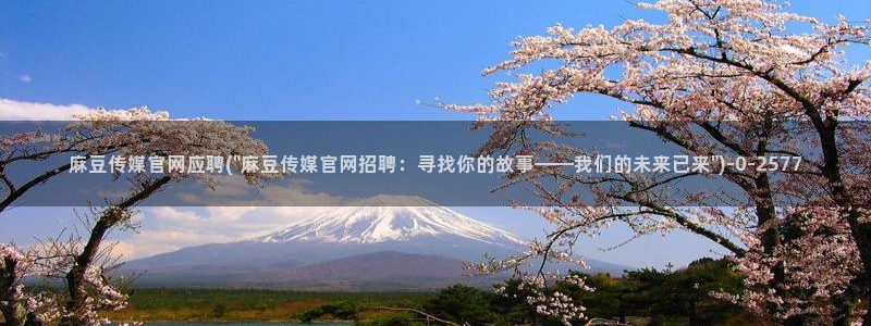麻豆专题页