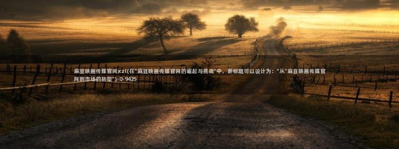 麻豆精选描述
