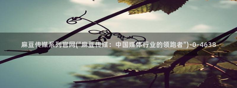 麻豆影视站