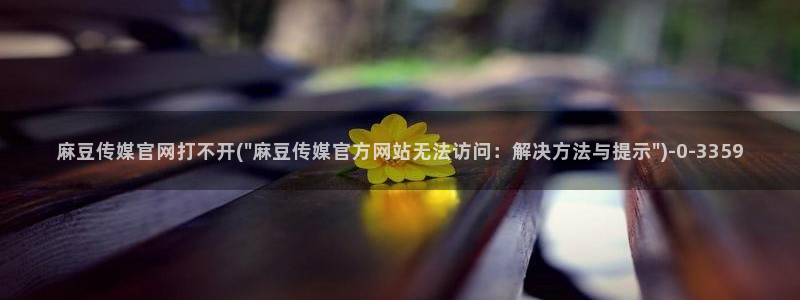 麻豆视频栏目规划