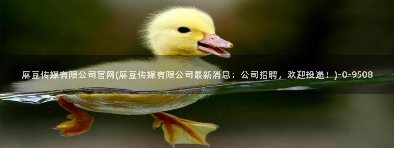 麻豆都市剧情