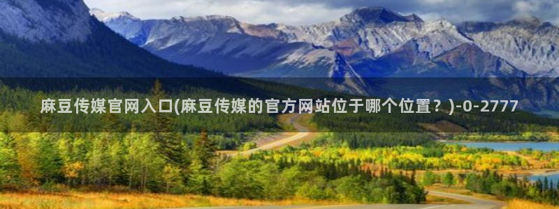 麻豆新片描述