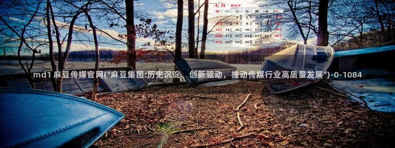 麻豆视频列表文案