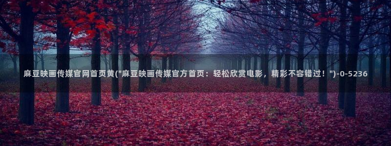 麻豆标题优化