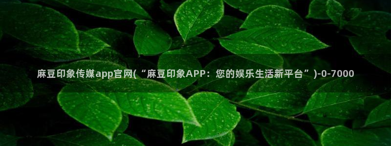 麻豆剧情视频