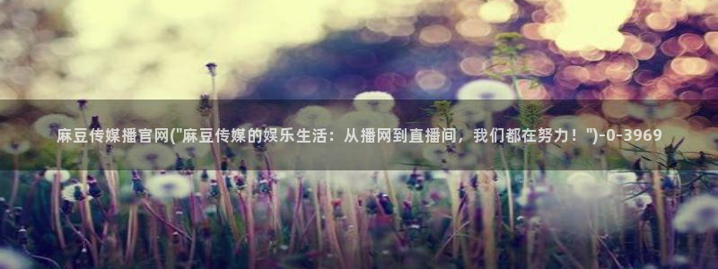 麻豆传媒精选