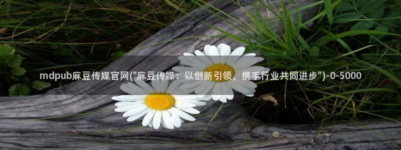 麻豆站内搜索