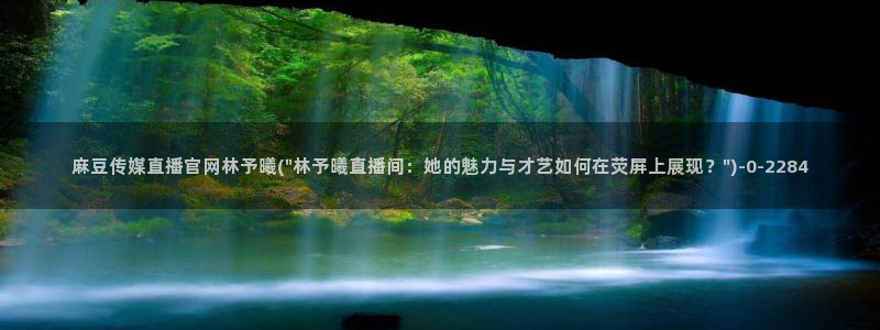 麻豆传媒在线观看