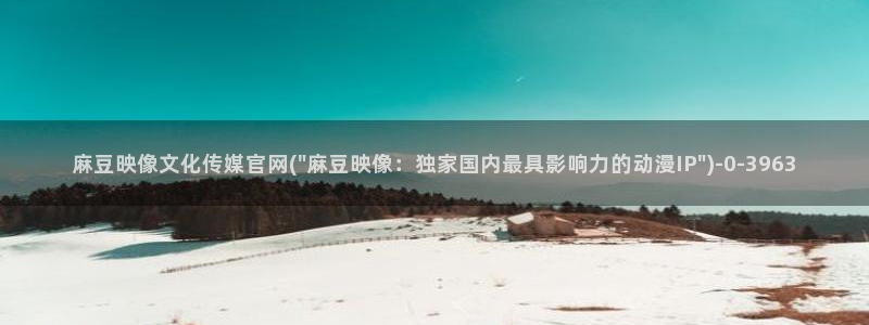 麻豆视频文章描述