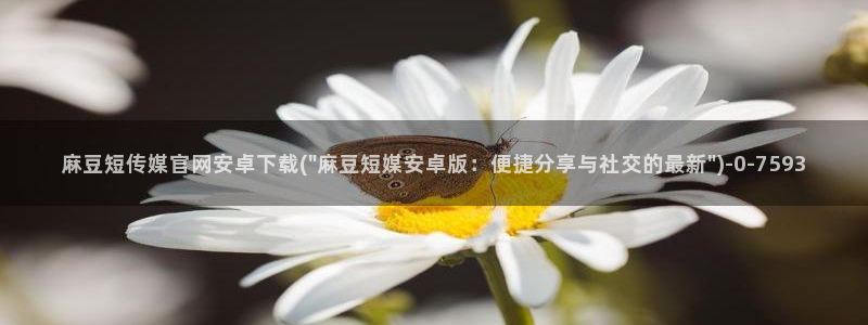 麻豆自定义库