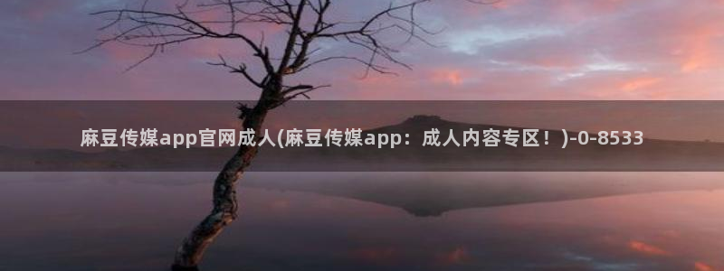 麻豆视频文章描述