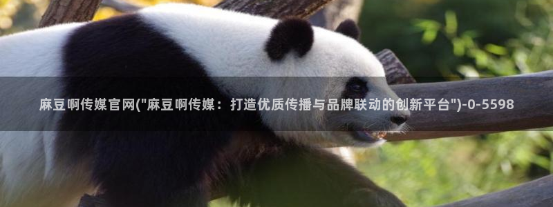 麻豆资讯标题