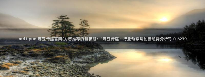 麻豆视频网站