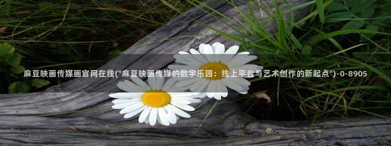 麻豆视频资讯文案