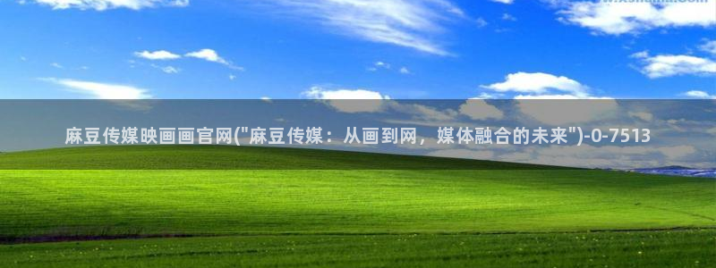 麻豆视频原创文案