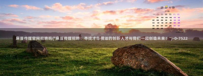 麻豆视频标签
