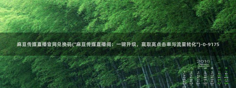 麻豆视频内容质量