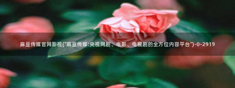 麻豆视频高流量词